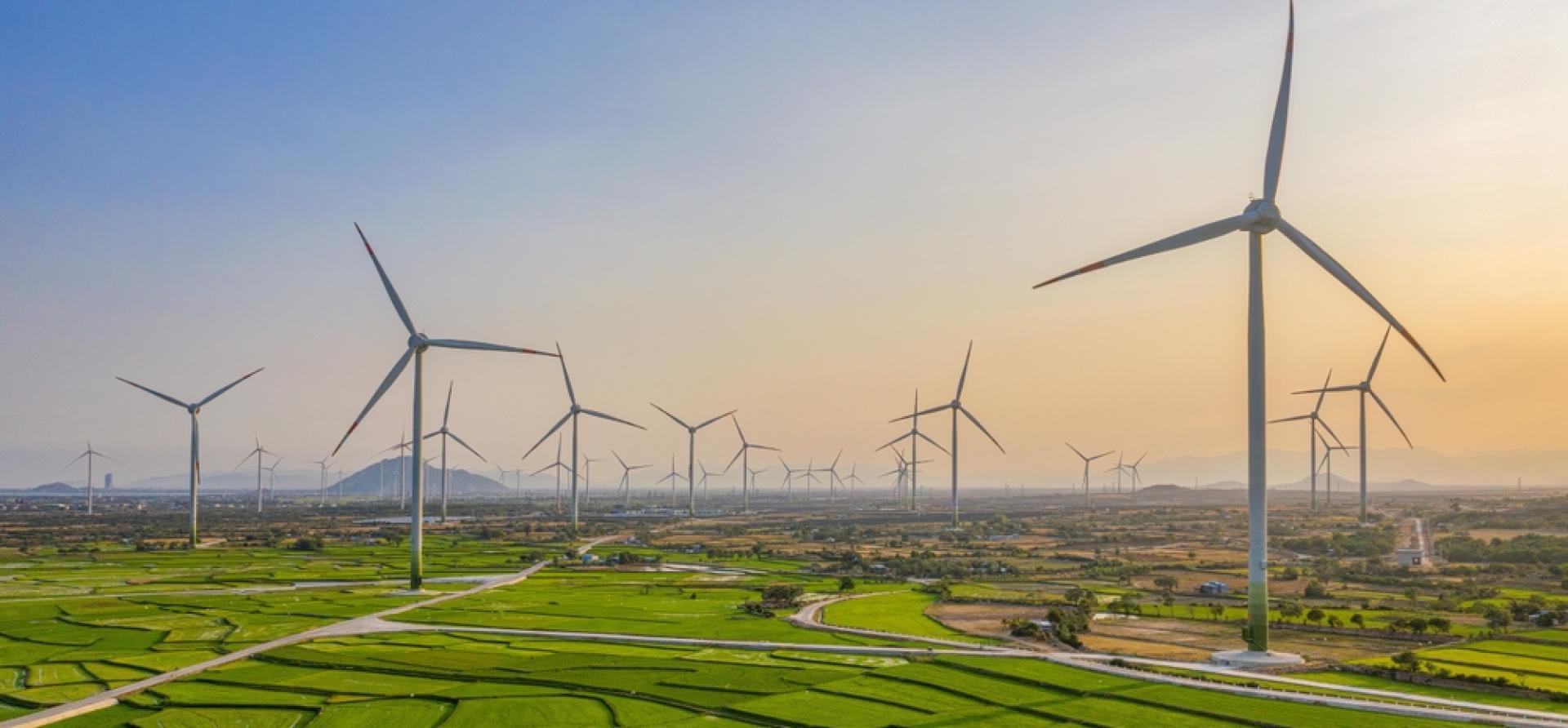 Renewable Energy Companies In Asia